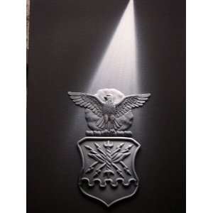 3D Spotlight Art Series Air Force Logo Home & Kitchen