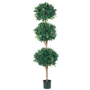 6 Triple Ball Sweet Bay Topiary: Home & Kitchen