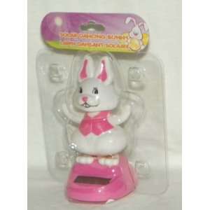  Solar Dancing   BUNNY (Pink)   in Bubble Package 