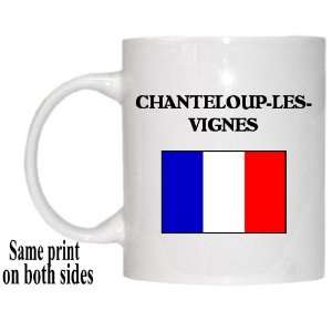  France   CHANTELOUP LES VIGNES Mug: Everything Else