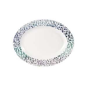  Mikasa Esplanade Oval Platter: Home & Kitchen