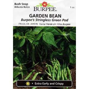  Burpees Stringless Green Pod Seeds   1 oz Patio, Lawn 