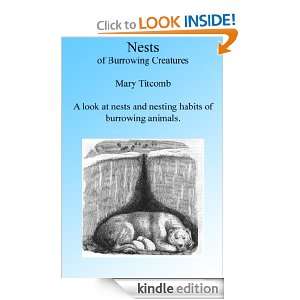 Nests of Burrowing Animals Illustrated (Curious Homes): Mary Titcomb 