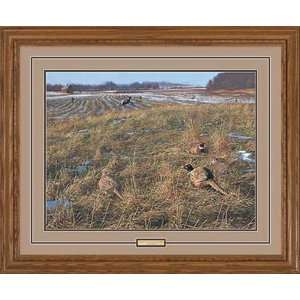  Scot Storm   Legacy VI   Pheasants Framed Artists Proof 