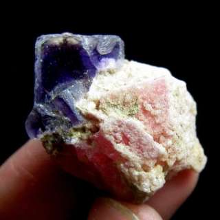 Pink Rhodochrosite Crystal Specimen rhgx5ie1472  