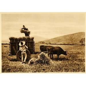  1925 Campesinos Farm Mexico Hugo Brehme Photogravure 