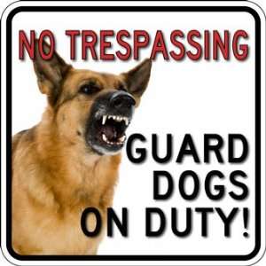  (Package of 3) Guard Dogs On Duty Window Decal   6x6: Home 