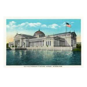   Field Museum of Natural History at Jackson Park Premium Poster Print