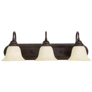  1163TS 243 Capital Lighting lighting