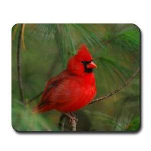 Male Cardinal Nature Mousepad by CafePress:  Sports 