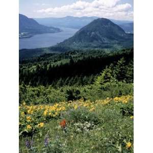  Columbia River Gorge, Gifford Pinchot Nf, WA Stretched 