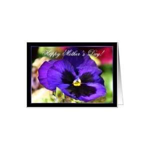  Happy Mothers Day Purple Pansy Flower Card Health 