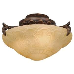   Danube Ceiling Fan Light Kit, Tuscan Bronze Finish: Home Improvement