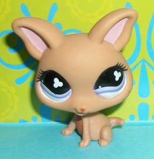   Shop~#461 SMOOTH VARIANT CHIHUAHUA PUPPY DOG Not Fuzzy~P131 LPS  
