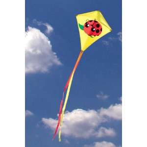  Lady Bug Kite Toys & Games