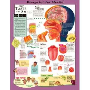  Blueprint for Health Your Taste and Smell Chart Paper 