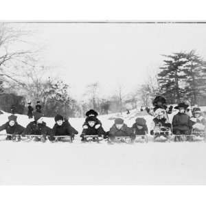   on sleds in Central Park, New York City graphic.