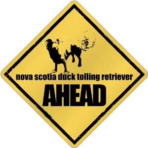  New  Nova Scotia Duck Tolling Retriever Bites Ahead 