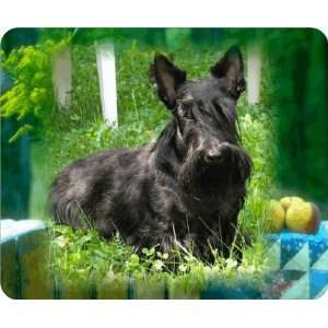  Scottish Terrier Computer mouse pad mousepad MP342   Ideal 