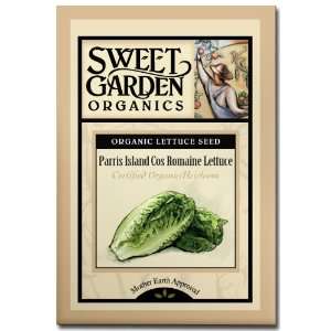  Parris Island Cos Lettuce   Certified Organic Heirloom 