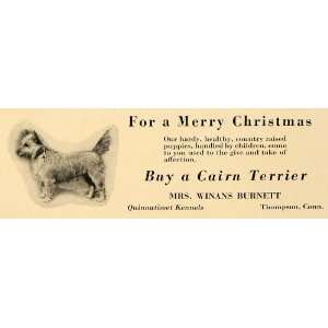  1923 Ad Cairn Terrier Dog Winans Burnett Quinnatisset 