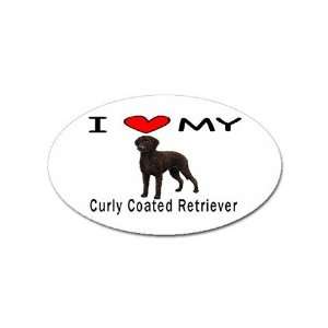  I Love My Curly Coated Retriever Oval Magnet: Office 