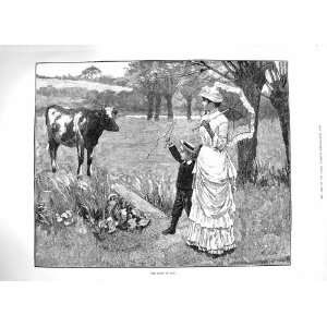   1883 RIGHT OF WAY BULL FIELD MOTHER YOUNG BOY COUNTRY