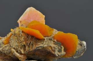 D38  ORANGE WULFENITE CRYSTALS ON ROCK   CLASSIC LOCALITY  