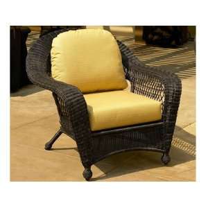   Cushion Arm Patio Lounge Chair Round Resin Espresso Finish Patio