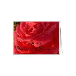 Matron of Honour, dewy red rose Card Health & Personal 