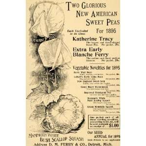  1895 Ad Blanche Ferry Sweet Peas Katherine Tracy Flower 