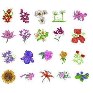  Great Notions Embroidery Machine Designs FLORAL VI 