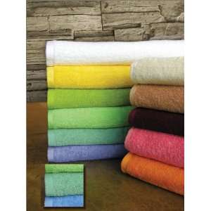   Sea Foam Green Pool Towel 35in x 70in 100% Cotton: Home & Kitchen