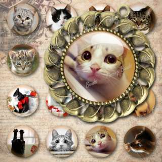 30pcs DIY digital collage sheet cats animal Fit cabochon setting 30x30 