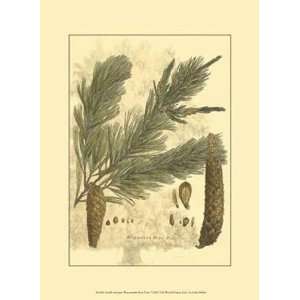  Small Antique Weymouth Pine Tree by John Miller 10x13 