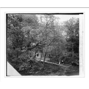  Historic Print (L) Rock Creek Park