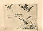 Frank W. Benson Drypoint Etching Morning Geese Copy Approved by Benson