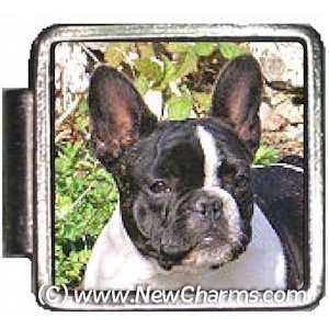  Boston Terrier Dog Italian Charm Bracelet Jewelry Link 