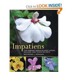  Impatiens The Vibrant World of Busy Lizzies, Balsams, and 