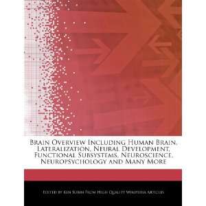  Brain Overview Including Human Brain, Lateralization 