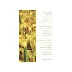  Bulletin Consider The Lilies (Package of 100) Everything 