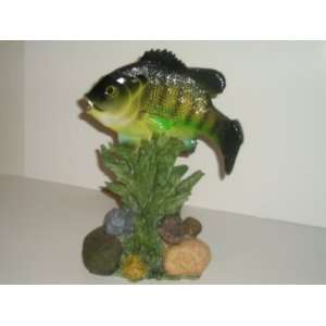  Sun Perch Mount (10 Tall  Fish 7 Long): Everything Else