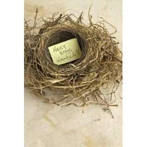  Nest Eggs Wanted   Peel and Stick Wall Decal by 