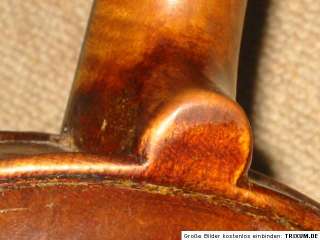 Very old violin nicely flammed 1 part back violon  