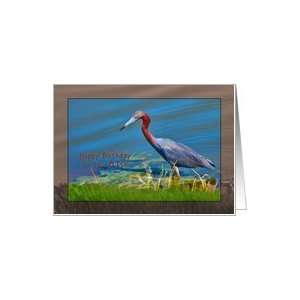  Birthday, 81st, Little Blue Heron Bird Card Toys & Games