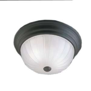   Thomas Lighting Painted Bronze One Light Ceiling Style: Home & Kitchen