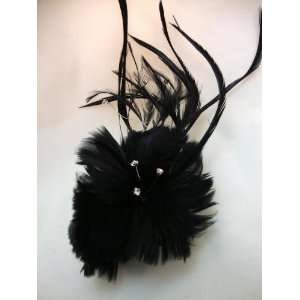  NEW Black Feather Hair Clip, Limited.: Beauty
