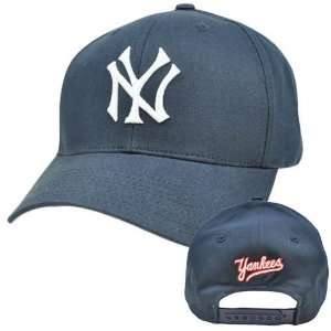   Blue White American Needle Cooperstown Snapback Hat: Sports & Outdoors