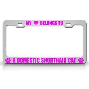 MY HEART BELONGS TO A DOMESTIC SHORTHAIR Cat Pet Auto License Plate 
