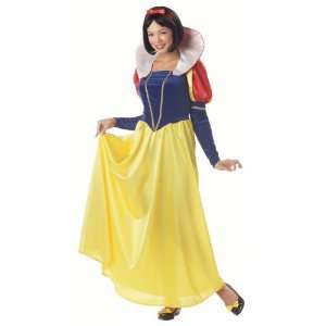  Adult Snow White Costume Size Large (10 12): Everything 